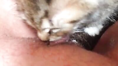 Sexy Moms Jaw-Dropping Doggy Threesome