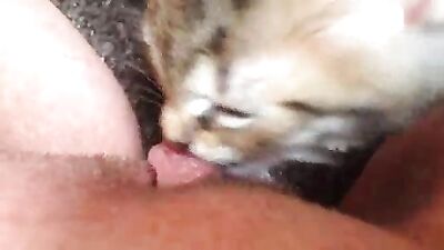 Sexy Moms Jaw-Dropping Doggy Threesome