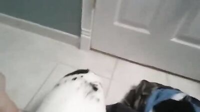 Dirty Pig Fucks Cute Puppys Wet Pussy