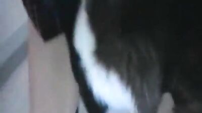 Sexy Russian Vixen Strips for Sexy Wolfhounds Cum