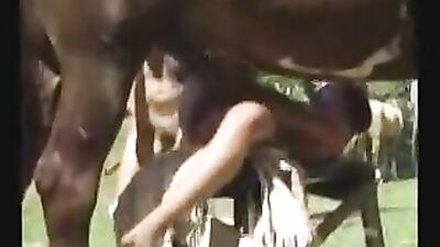 Patricia Paolas Steamy Lesbians & Hot Horse Action