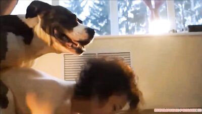 Bareback Piggy Bareback Banging in Steamy Zoo Anal Threesome!