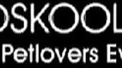 Zooskool - Amateur - Latin Lover