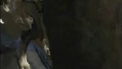 Zooskool - Amateur - Latin Lover