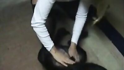 Zooskool - Amateur - Mellisa - 4 Play
