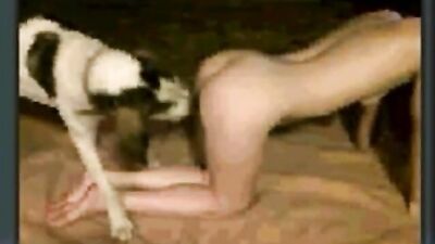 Canine Lust: Dog Hooks Up with Hot Webcam Babe