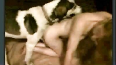 Canine Lust: Dog Hooks Up with Hot Webcam Babe