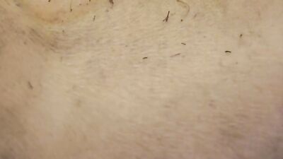Piggys Passion: Horny Babe Slobbers Over Dirty Pig