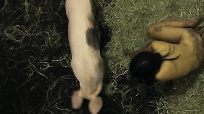 Piggys Passion: Horny Babe Slobbers Over Dirty Pig