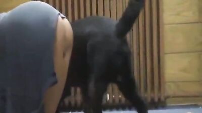 ZooSkool - Carmen - Smooth and hard