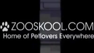 Zooskool - Elle - The Petting Time