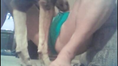 ZooSkool - Katarina - petlover