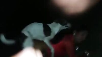 Wild Japanese Orgy - Sexy Strippers & Hung Caballo