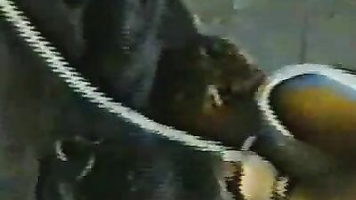 Horny Cowgirl Sucks Stiff Horse Cock