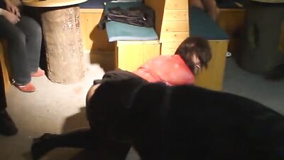 Pawsome Party Bangers