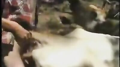 Bucking Beauty Gets Her Cowsucker
