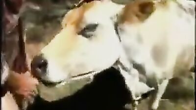 Bucking Beauty Gets Her Cowsucker