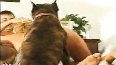 Puppy Pounders College Threesome