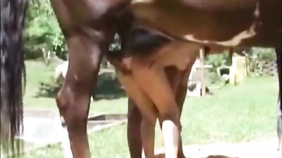 Husky Babe Milks & Sucks Horse To Messy Cumming