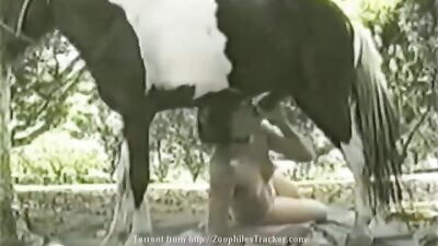 My New Pony