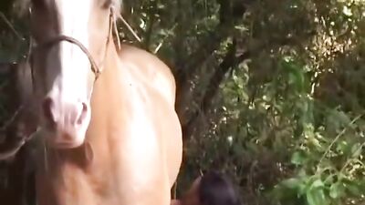 Afternoon of zoophilia with the horse