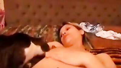 Preggo Gella Sex Cat