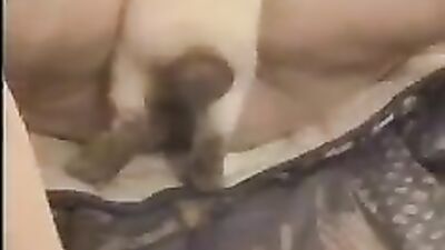 Pawsitively Naughty - Bunny Licks & Teases My Juicy Pussy
