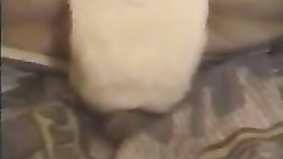 Pawsitively Naughty - Bunny Licks & Teases My Juicy Pussy