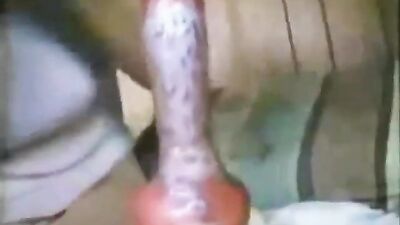 Wild MILF Sucks Off Hung Dog in Steamy Zoo Fantasy