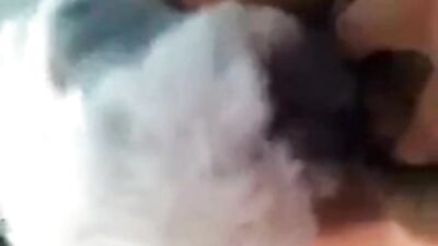 Hot lesbian busty brunette finger fucks and sucks in front of her