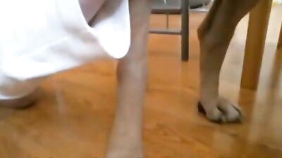 Semen-Filled Doggy Style Blowout for Hungry Vixen
