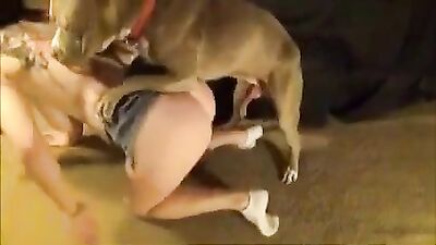 Just A Scratch