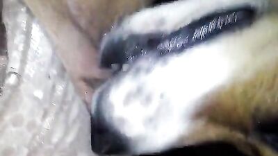 Doggy Licking Turns Latina into Cum-Soaked Mess