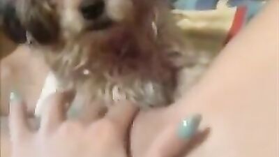 the dog likes pussies