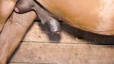 Thrilling Horsecum for Thirsty Milf