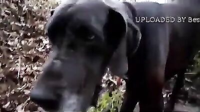 Shellby Sucking In The Creek