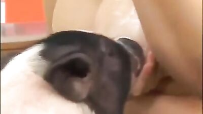 Wild Thing Swallows Snakes in X-Rated Animal Orgy