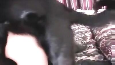 Taboo Milf Fucks Stalion In Desperate Doggy Style