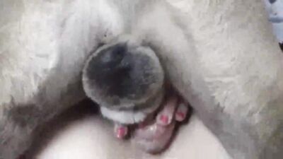Amateur Japanese Babe Shares Dirty Kisses With Loyal Canine Companion