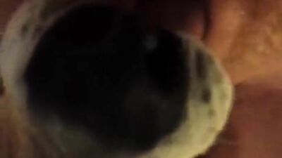 Pup Licks My Pussy & Squirting Orgasm