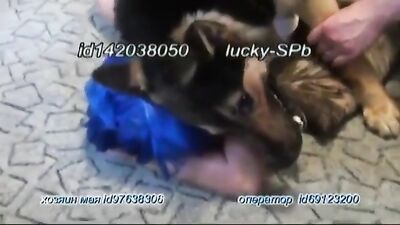 LUCKY & MAY