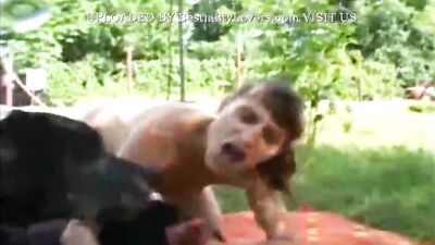 Blowjobs & Boobplay