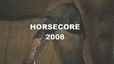 Steamy Wife Shares Her Stallion With Excited Dog