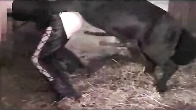 Horse Stake Invades Tight Pussy in Wild Zoo Sex Scene