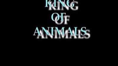 Wild Animal Lust: King Of The Jungle Unleashes His Beast