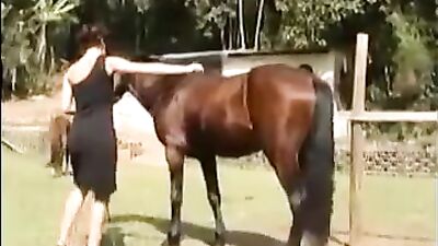 Lusty Laura Loves Livestock 2 - Horse Girls Sizzling Sexcapade