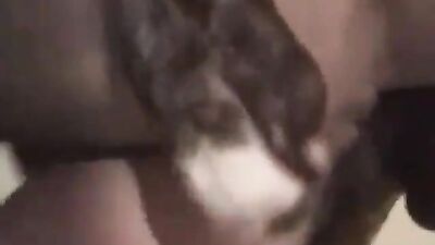 Doggys Thick Cum Splatters Out Her Slick Pussy