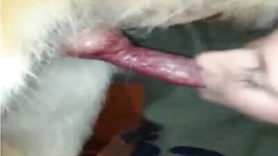 Puppy Love: Hungry Husky Girl Sucks Cock