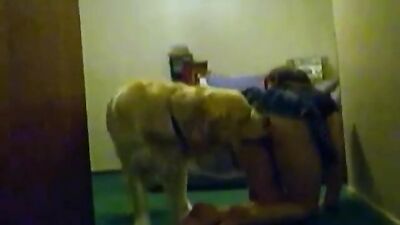 Humping Shylark