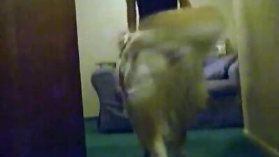 Humping Shylark